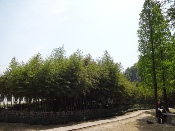 紹興景點(diǎn)圖片 紹興景點(diǎn)圖片