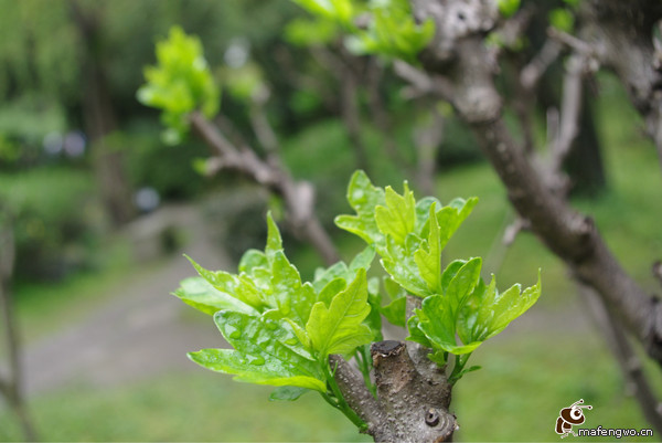 紹興景點(diǎn)圖片 紹興景點(diǎn)圖片